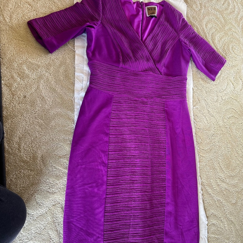 Nue by Shani stunning color dress